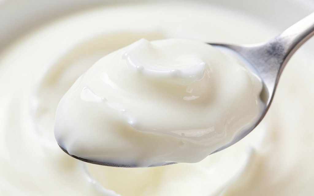 Macro close-up of thick plain nonfat Greek yogurt on a spoon showing its high protein texture.